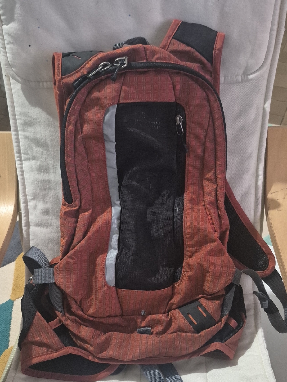 Patagonia  Endurance Pack
